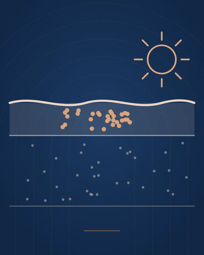 Dark Marks After Acne (PIH) — educational illustration