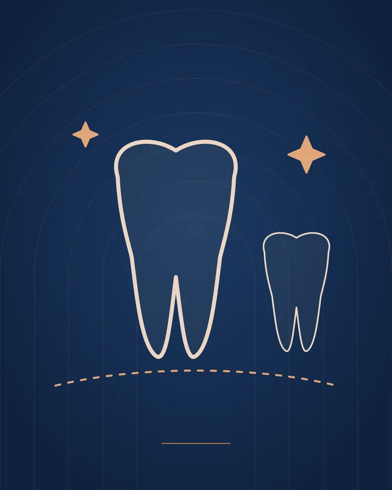 Fissure Sealants & Fluoride — illustration, Manhal Medical Center Dubai