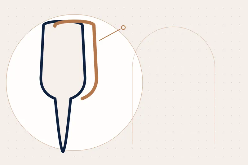 Hollywood Smile & Smile Design explained — educational illustration