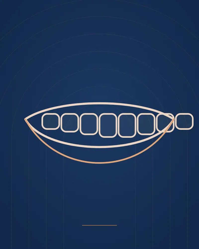 Hollywood Smile & Smile Design — illustration, Manhal Medical Center Dubai