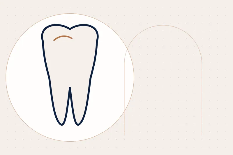 Children's Dentistry explained — educational illustration